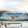 Blissful Golden Retrievers Sky Hills Scenic - Outdoor Adventure Pet Parent Gift Car Sunshade - 5