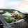 Panda Corgi Dog Adventure Balloons Lush Green Landscape - Road Trip Travel Essentials Car Sunshade - 6