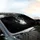 Realistic Grayscale Handprint White Dog Paw Print - Meaningful Connection Gift Car Sunshade - 6