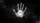 Realistic Grayscale Handprint White Dog Paw Print - Meaningful Connection Gift Car Sunshade - 7