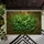 Natural Green Shamrocks Four-Leaf Clovers Emerald Foliage Earthy Moss Soil - Home Decor Gift Doormat - 6