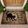 Black Cat Hates Trump Text - Political Statement Decor for Cat Lover Doormat - 1