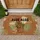 Aloe Aloe Potted Succulent Botanical - Plant Lover Home Decor Gift Doormat - 1