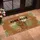 Aloe Aloe Potted Succulent Botanical - Plant Lover Home Decor Gift Doormat - 4