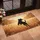 Black Labrador Retriever Silhouette - Dog Lover Home Decor Gift Doormat - 4