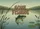 Gone Fishing Lake Reeds Fish - Rustic Outdoor Decor for Fishermen Doormat - 7