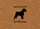Schnauzer Dog Hello Welcome - Welcome Home Decor for Dog Lovers Doormat - 7