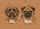 Friendly Labradoodle Grumpy Pug Dogs Hi Bye - Home Decor Gift for Dog Lovers Doormat - 7