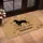 Black Dog Silhouette Welcome Text - Home Decor Gift for Dog Lover Doormat - 4