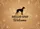 Greyhound Dog Silhouette 'Hello Welcome' - Home Decor Gift for Dog Lover Doormat - 7