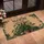 Lush Potted Houseplants Botanical Garden - Indoor Plant Lover Home Decor Gift Doormat - 4