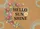 Hello Sun Shine Dried Botanicals - Everyday Welcome Home Decor Doormat - 7