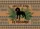 Hound Dog Welcome Botanical Ferns Diamond Accents - Home Decor Gift Doormat - 7