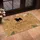 Cheerful Pug Dog Hello Welcome Sign Botanical Ferns Paw Prints - Home Entryway Decor Gift Doormat - 4