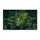 Monstera Deliciosa Leaves Tropical Jungle Foliage - Nature Lover Gift Doormat - 3