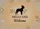 Boston Terrier Botanical Welcome Dog Sign - Entryway Home Decor Gift for Dog Lover Doormat - 7