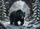 Black Bear Emerging from Cave Snowy Winter Forest - Wildlife Lover Home Decor Gift Doormat - 6