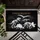 Dinosaur Skeletons Set - Prehistoric Home Decor Gift for Dino Lover Doormat - 6