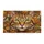 Majestic Cat Face Expressive Eyes - Cat Lover Home Decor Gift Doormat - 3