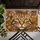 Majestic Cat Face Expressive Eyes - Cat Lover Home Decor Gift Doormat - 6