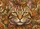 Majestic Cat Face Expressive Eyes - Cat Lover Home Decor Gift Doormat - 7