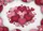 Hearts Red Pink Polka Dots Floral - Everyday Home Decor Gift Doormat - 7