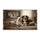 American Bulldog Bernese Mountain Dog 'Hope You Like Big Ass Dogs' Home Decor Gift Doormat - 3