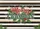 Merry Christmas Holly Leaves Snowflakes Evergreen Sprigs - Christmas Holiday Home Decor Doormat - 7