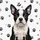 Pink Nose Boston Terrier Puppy Black White Fur with Scattered Paw Prints - Dog Lover Gift Spare Tire Cover - 6