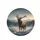 Bull Elk Antlers Cold Morning Frosted Grasses Mountain Forest - Wildlife Gift Spare Tire Cover - 4