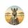 Confident Zebra Sunglasses Bubblegum Savanna - Wildlife Lover Travel Essentials Spare Tire Cover - 4