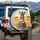 Confident Zebra Sunglasses Bubblegum Savanna - Wildlife Lover Travel Essentials Spare Tire Cover - 3