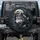 Formidable Bald Eagle Gray Wolf Profile Feather Motifs - Wildlife Lover Gift Spare Tire Cover - 1