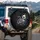 Skeletal Cat Fangs Tail Gothic Filigree Bat Silhouettes Car Decor Gift for Cat Lover Spare Tire Cover - 3