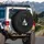 Black and White Kitten Peeking Torn Canvas - Pet Lover Gift for Cat Owners Spare Tire Cover - 3