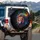 Detailed Lion Face Rainbow Mane Blue Purple Green Flowing Patterns Cosmic Black - Wildlife Lover Gift Spare Tire Cover - 3
