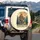 I Fish With Sasquatch Campfire Pine Trees - Outdoor Lover Gift Spare Tire Cover - 3