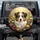 Australian Shepherd Border Collie Puppy Lush Wildflower Cosmos Poppies Garden - Dog Lover Gift Spare Tire Cover - 1