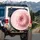 Pink Frosted Donut Multi-Colored Sprinkles Delicious Dessert Food Lover Car Decor Gift Spare Tire Cover - 3