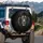 Majestic Lion Head Powerful Gaze Dark Mane - Safari Adventure Wildlife Gift Spare Tire Cover - 3