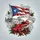 Red Coqui Frog Puerto Rico Flag El Morro Fort - Puerto Rico Cultural Heritage Gift Spare Tire Cover - 6