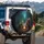 Green Tree Frog Squirrel Campfire Beer - Outdoor Adventure Gift for Beer Lovers Spare Tire Cover - 3
