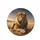 Powerful Majestic Golden Mane Lion Savanna Landscape - Wildlife Lover Gift for Lion Lovers Spare Tire Cover - 4