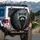 Adult Staring Raccoon Front Paws Masked Face Nocturnal Forest Wildlife Lover Gift Spare Tire Cover - 3