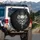 Skull Serpent Ankh Guiding Star Lily Flowers - Car Decor Gift Spare Tire Cover - 3