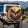 Bald Eagle American Flag Mountain Landscape - Independence Day Wildlife Gift Spare Tire Cover - 3
