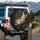 Tabby Kitten Gold Lines Black Marble - Cat Lover Car Decor Gift Spare Tire Cover - 3