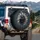 Black Crow Orange Eye Shattered Concrete Fissures - Wildlife Lover Gift Spare Tire Cover - 3