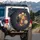 Giraffe Cowboy Hat Gold Bell - Desert Western Wildlife Gift Spare Tire Cover - 3