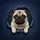 Fawn Pug Dog Peeking Torn Indigo Denim Void - Everyday Pet Lover Gift for Dog Owners Spare Tire Cover - 6